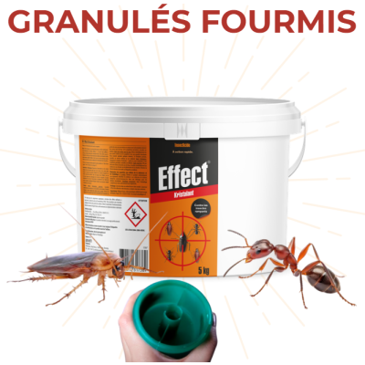 EFFECT KRISTALANT GRANULÉS FOURMIS/BLATTES SEAU DE 5KG
