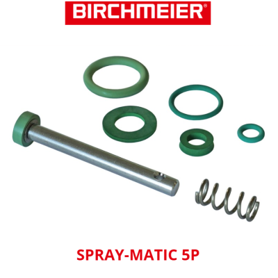 JEU DE JOINTS POUR POIGNÉE BIRCHMEIER SPRAY MATIC 5P