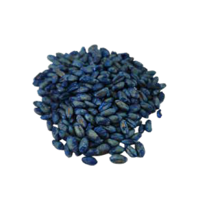 KILLGERM® APPÂT BLÉ 10KG GRAINS VRAC 50PPM BROMADIOLONE