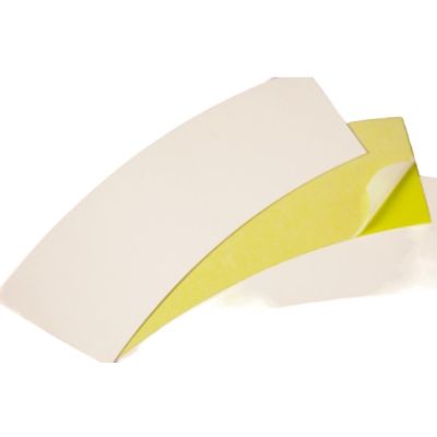 PLAQUES GLU POUR FUNNEL TRAP (x10)