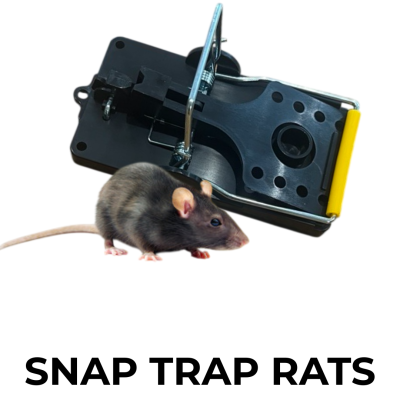 SNAP TRAP RATS (x1)
