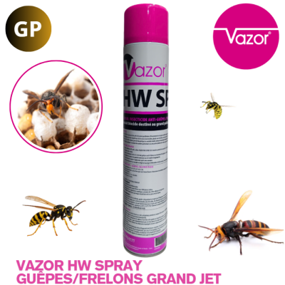 VAZOR® HW SPRAY AÉROSOLS 750ML GRAND JET (x12) REVENTE AU GRAND PUBLIC