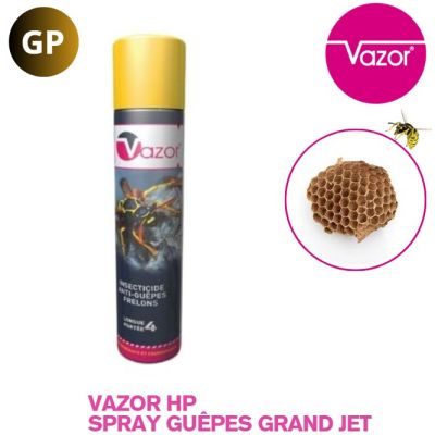   VAZOR® HP SPRAY AÉROSOLS 750ML GRAND JET (x24) REVENTE AU GRAND PUBLIC